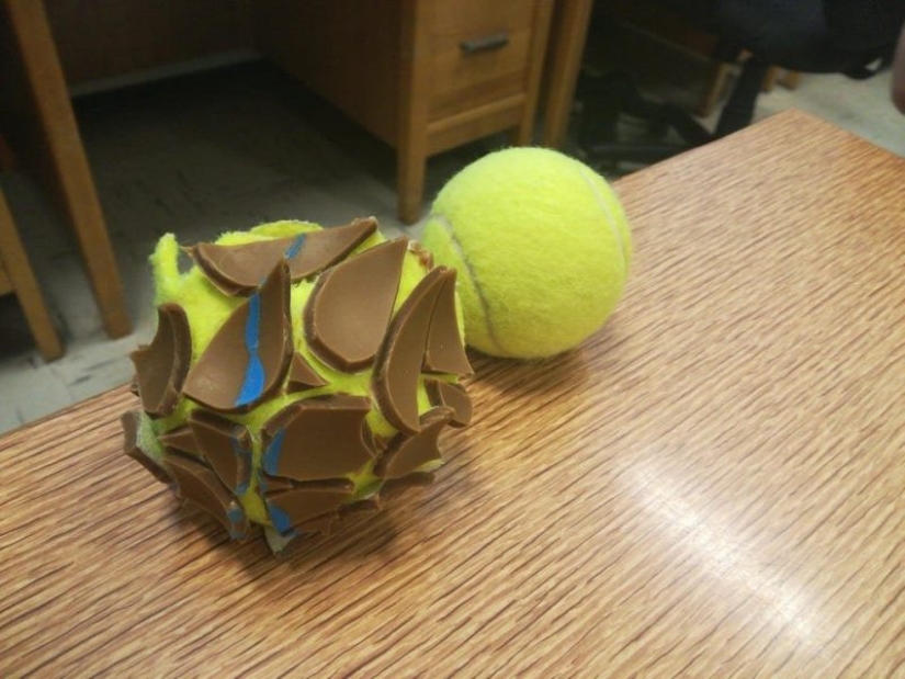 16 cosas que son muy similares a los alimentos, pero mejor no