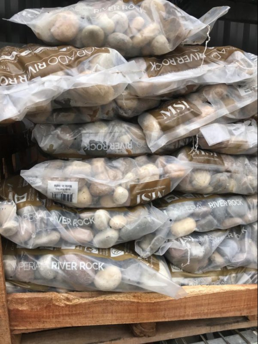 16 cosas que son muy similares a los alimentos, pero mejor no