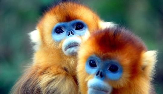 16 criaturas que parecen de otro planeta 16 criaturas que parecen de otro planeta