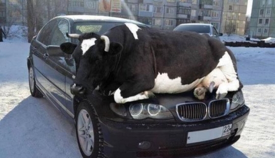 16 cute chicks caught in idiotic situations 16 cute chicks caught in idiotic situations