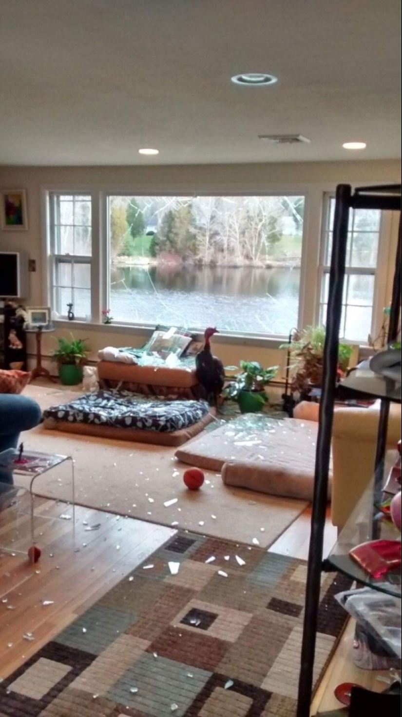 16 encarnaciones de la frase " afortunado como un hombre ahogado»