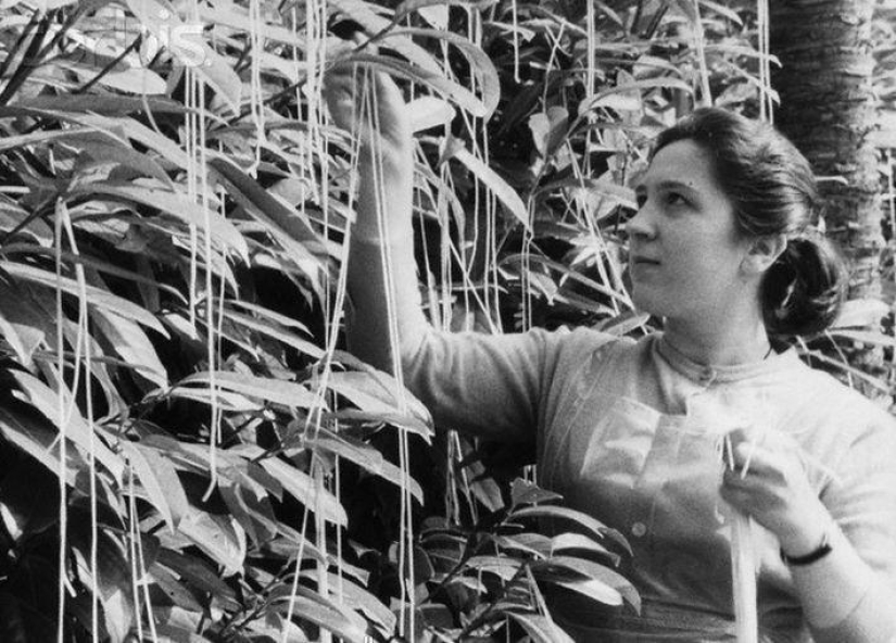 16 engaños en los que se ha creído durante mucho tiempo 16 engaños en los que se ha creído durante mucho tiempo