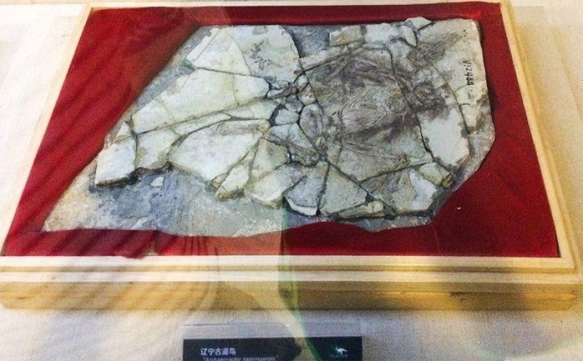 16 engaños en los que se ha creído durante mucho tiempo 16 engaños en los que se ha creído durante mucho tiempo