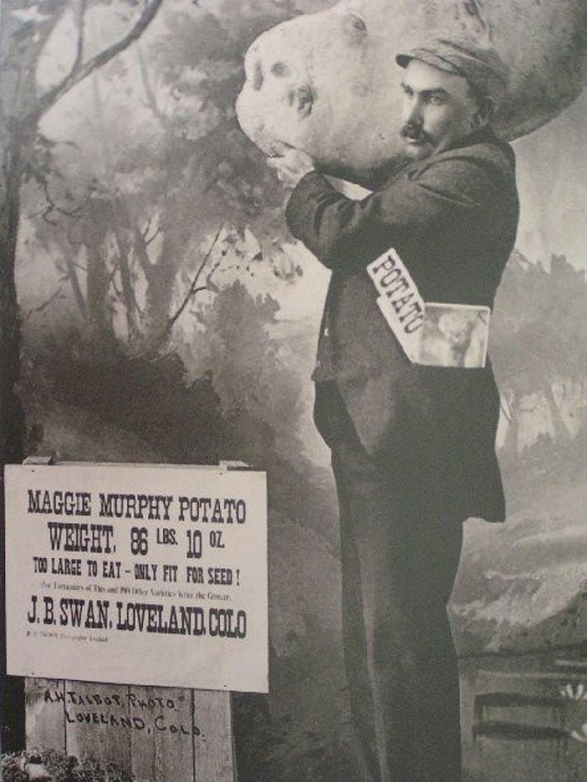 16 engaños en los que se ha creído durante mucho tiempo 16 engaños en los que se ha creído durante mucho tiempo