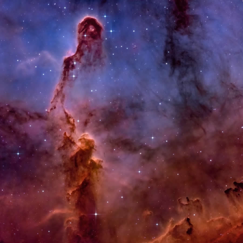 16 ganadores destacados de la naturaleza en los Premios al Fotógrafo del Año 1839