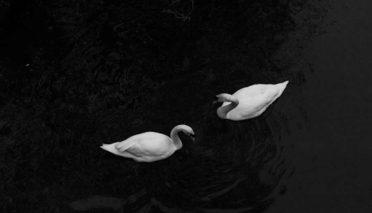 16 Outstanding Nature Winners from the 1839 Photographer of the Year Awards