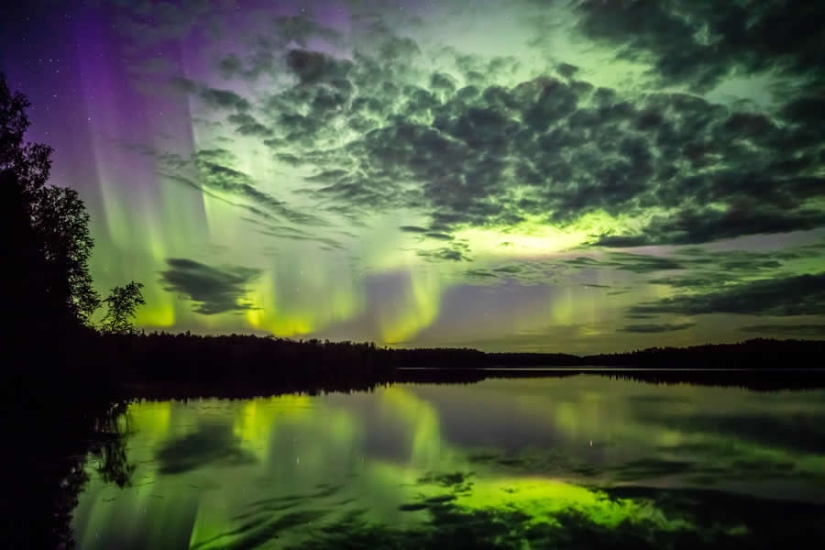 16 Outstanding Nature Winners from the 1839 Photographer of the Year Awards