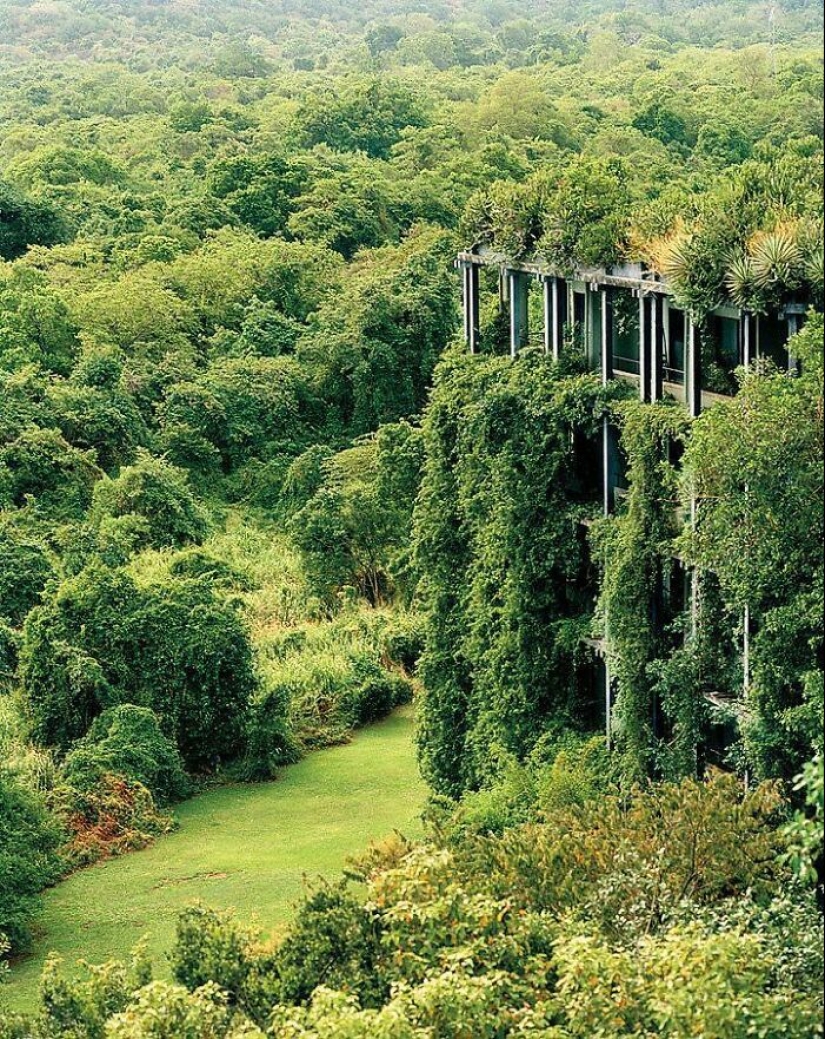 16 Pics That Showcase Nature Taking Over Lost Civilization