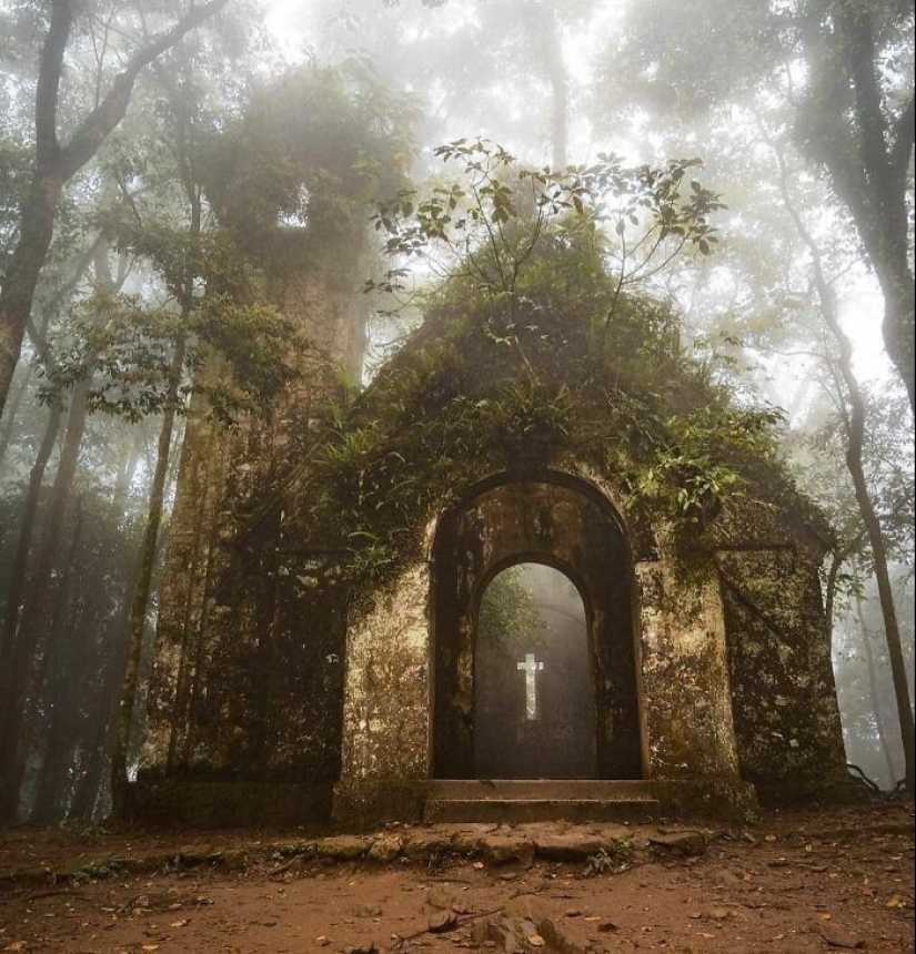 16 Pics That Showcase Nature Taking Over Lost Civilization