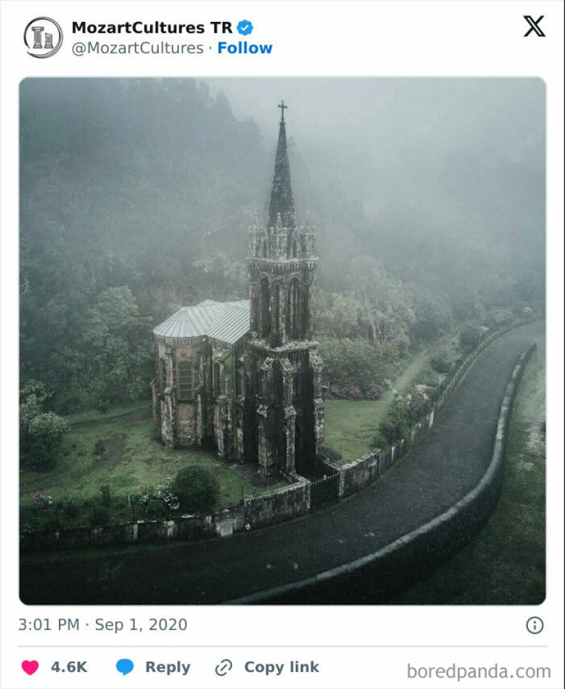 16 Pics That Showcase Nature Taking Over Lost Civilization