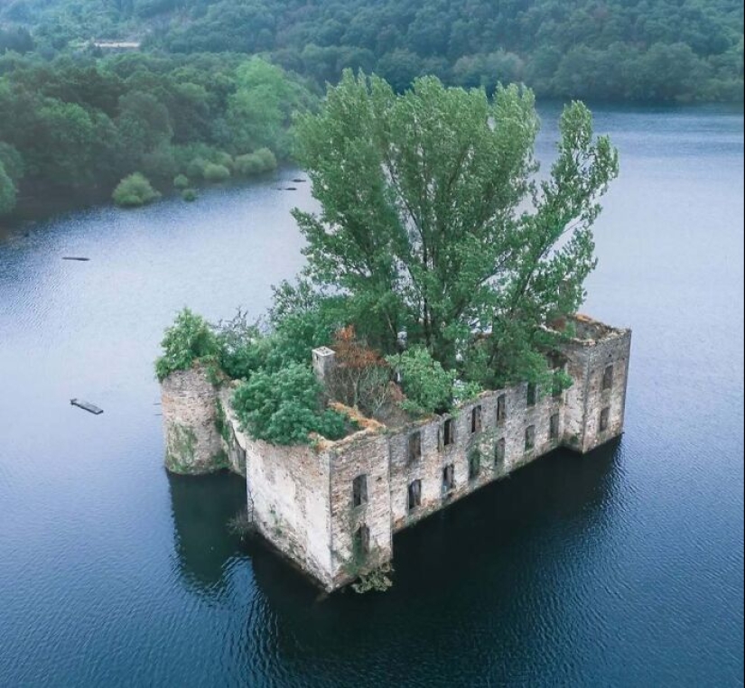 16 Pics That Showcase Nature Taking Over Lost Civilization