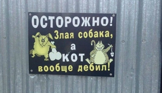 16 señales de los propietarios con un gran sentido del humor 16 señales de los propietarios con un gran sentido del humor