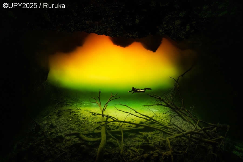 17 Breathtaking Winning Photos from the 2025 Underwater Photographer of the Year 17 Breathtaking Winning Photos from the 2025 Underwater Photographer of the Year