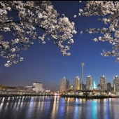 17 cosas maravillosas a las que están acostumbrados los surcoreanos