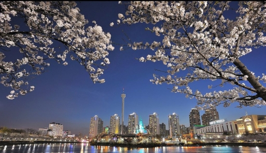 17 cosas maravillosas a las que están acostumbrados los surcoreanos 17 cosas maravillosas a las que están acostumbrados los surcoreanos