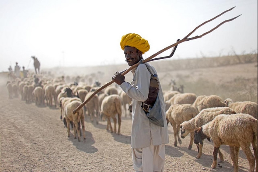17 fotografías impresionantes que muestran la singularidad de la India