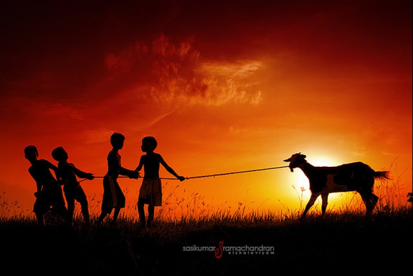 17 fotografías impresionantes que muestran la singularidad de la India