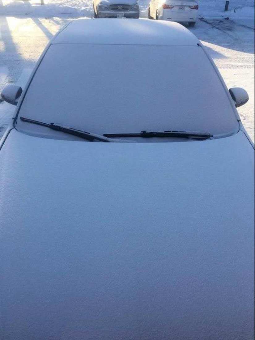 17 fotos de aspecto agradable en las que todo está bien