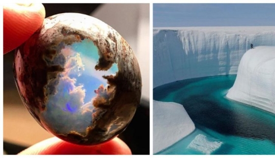 17 fotos de aspecto agradable en las que todo está bien