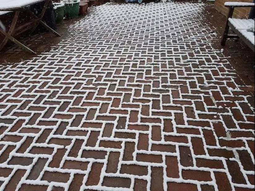 17 fotos de aspecto agradable en las que todo está bien