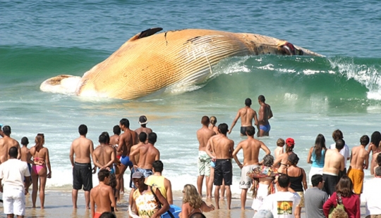 17 fotos que hacen volar el cerebro sin photoshop 17 fotos que hacen volar el cerebro sin photoshop