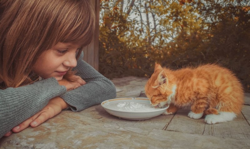 17 good facts that will make you believe in miracles 17 good facts that will make you believe in miracles