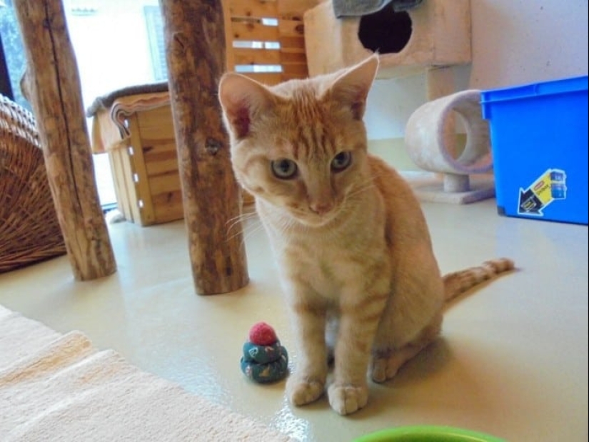 17 good facts that will make you believe in miracles 17 good facts that will make you believe in miracles