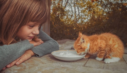 17 good facts that will make you believe in miracles