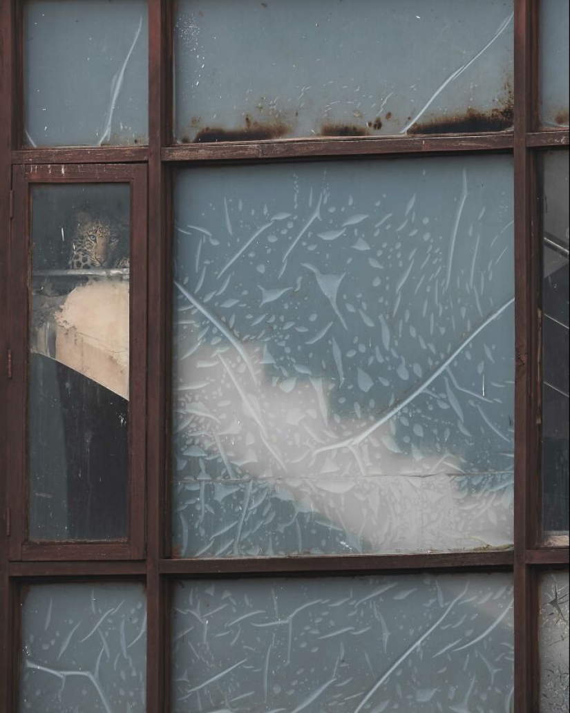 17 Of The Most Impressive Images From The 2024 Nature “inFocus” Photography Contest 17 Of The Most Impressive Images From The 2024 Nature “inFocus” Photography Contest