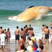 17 photos that blow up the brain without photoshop