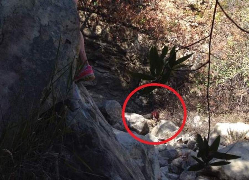 17 photos that hide inhumanly creepy stories 17 photos that hide inhumanly creepy stories