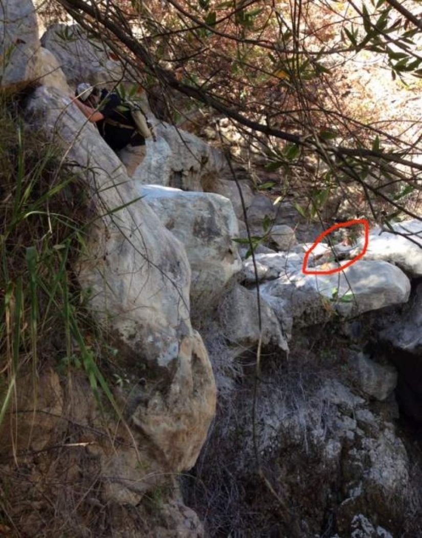 17 photos that hide inhumanly creepy stories 17 photos that hide inhumanly creepy stories