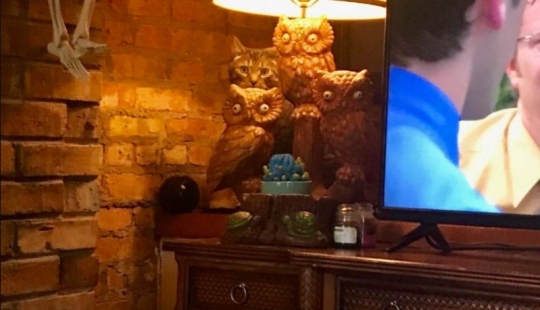 17 photos that there is something very strange