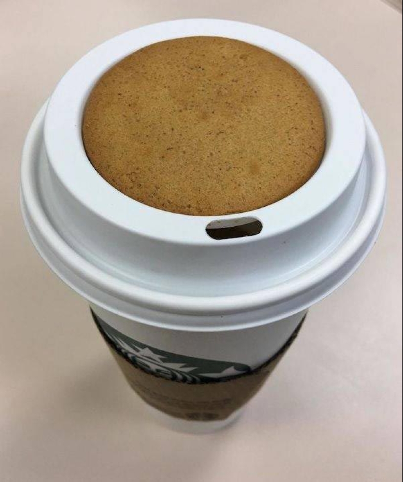 17 pleasant-looking photos in which everything is fine