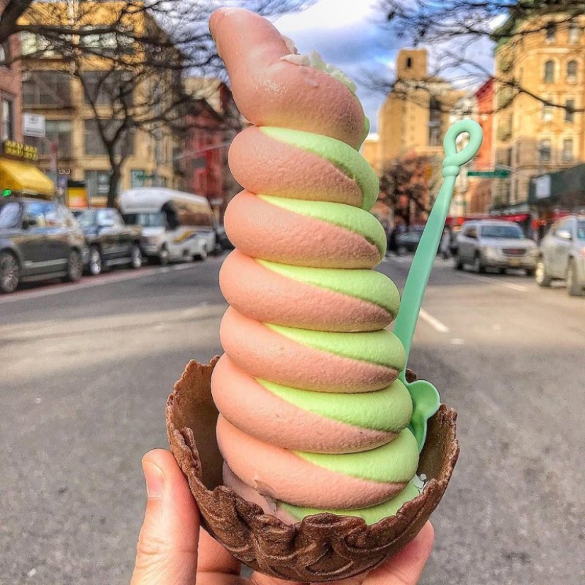 17 pleasant-looking photos in which everything is fine