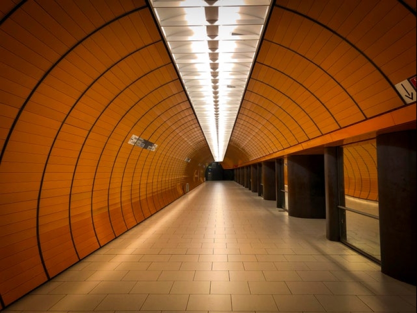 17 pleasant-looking photos in which everything is fine