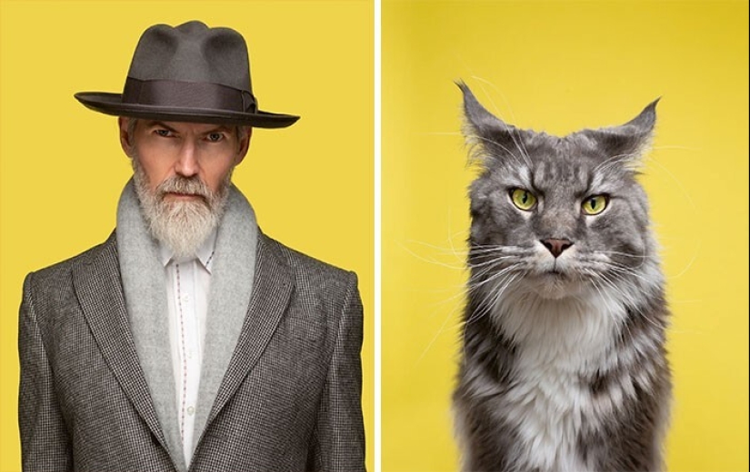 17 retratos de gatos y personas, increíblemente similares entre sí 17 retratos de gatos y personas, increíblemente similares entre sí