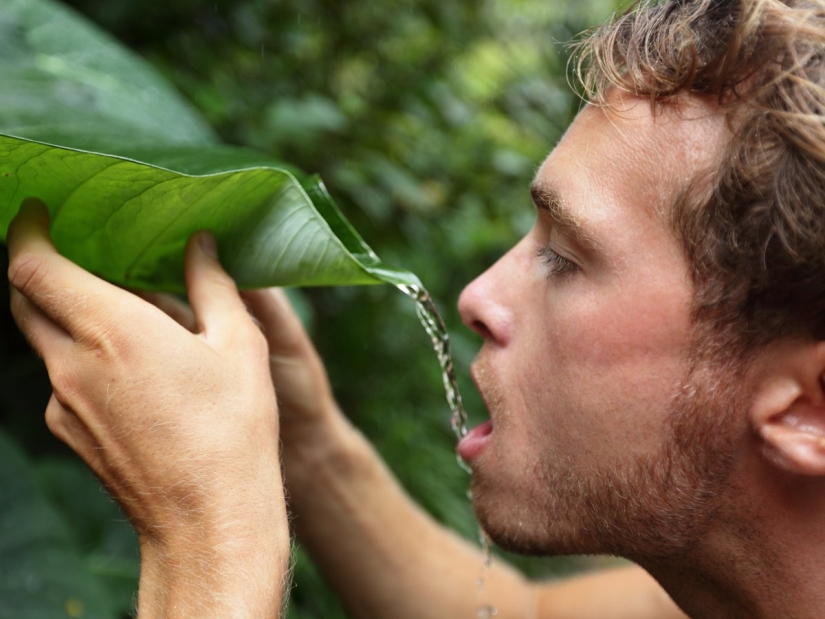 17 rules that will save your life