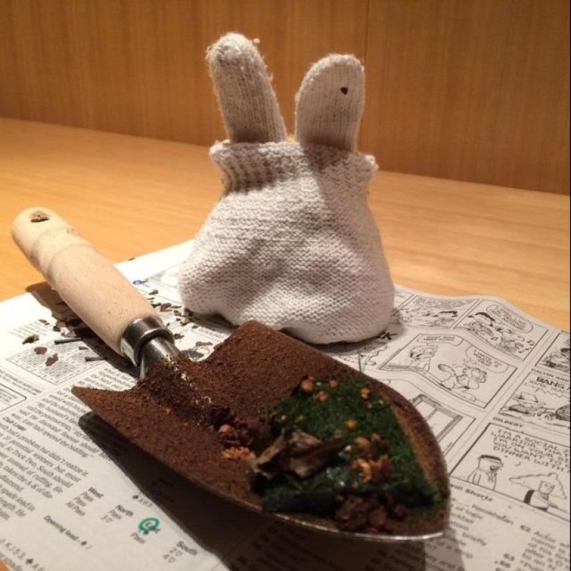 17 strange dishes from Michelin restaurants 17 strange dishes from Michelin restaurants