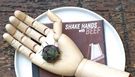 17 strange dishes from Michelin restaurants 17 strange dishes from Michelin restaurants