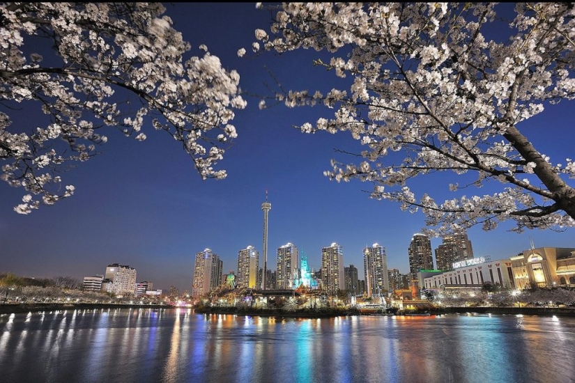 17 wonderful things that South Koreans are used to 17 wonderful things that South Koreans are used to