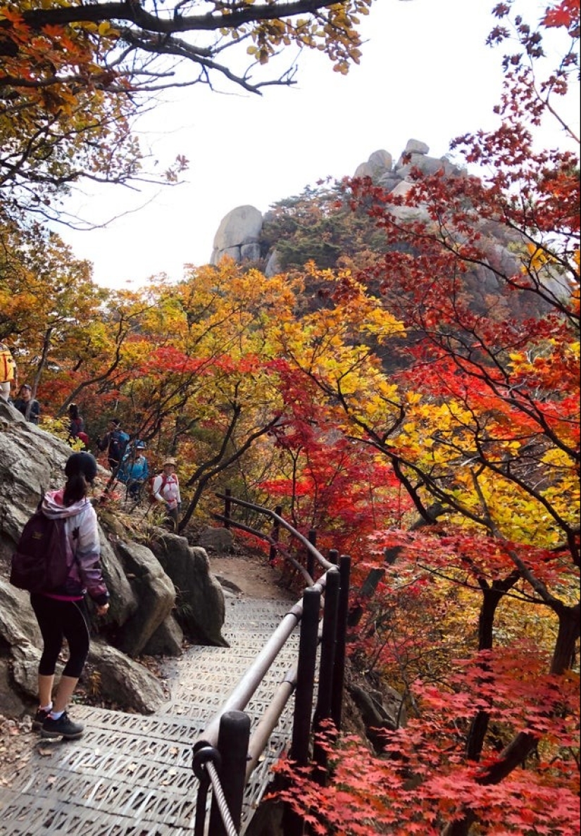 17 wonderful things that South Koreans are used to 17 wonderful things that South Koreans are used to