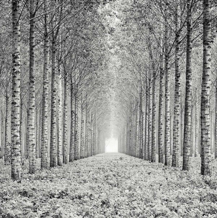 18 Award-Winning Black and White Photos From The Garden Photographer Of The Year 18 Award-Winning Black and White Photos From The Garden Photographer Of The Year