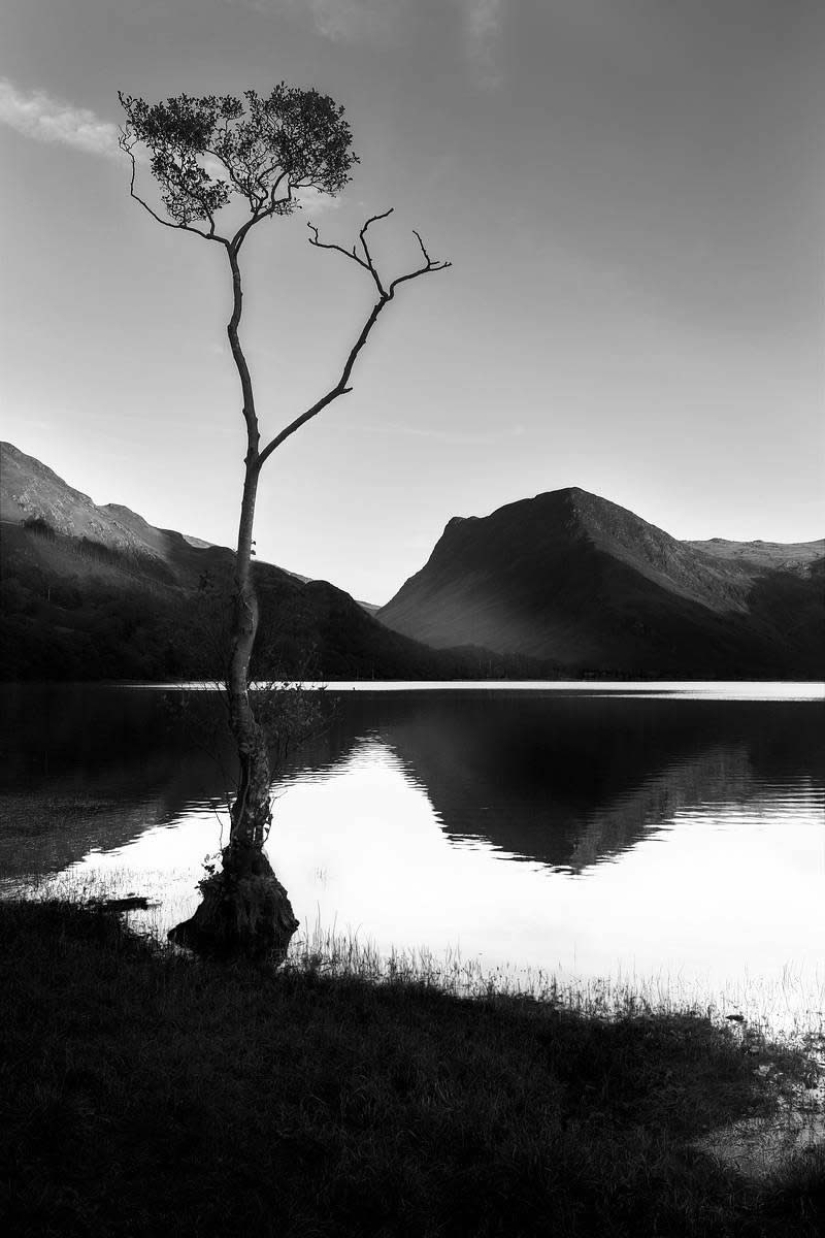 18 Award-Winning Black and White Photos From The Garden Photographer Of The Year 18 Award-Winning Black and White Photos From The Garden Photographer Of The Year