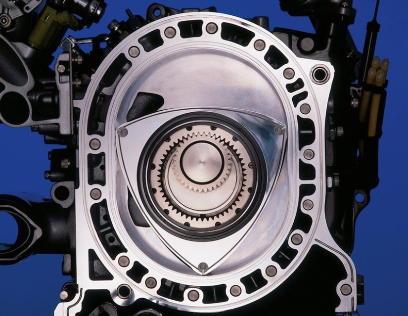 18 cosas cortadas por la mitad