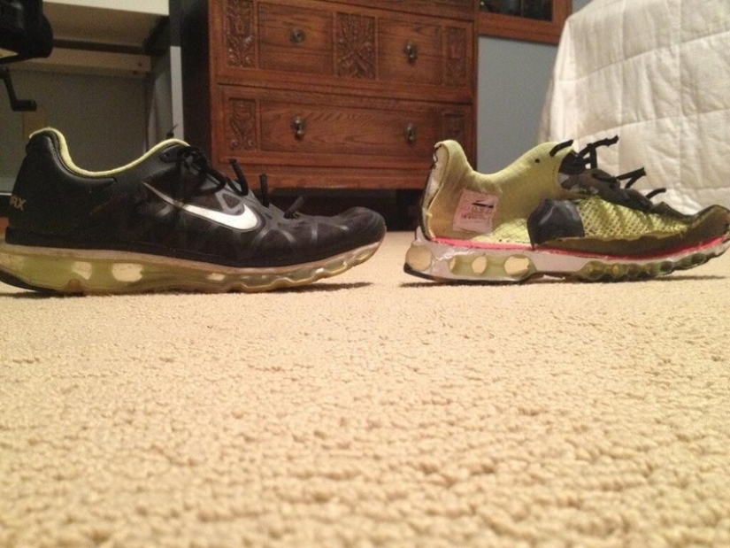 18 cosas cortadas por la mitad