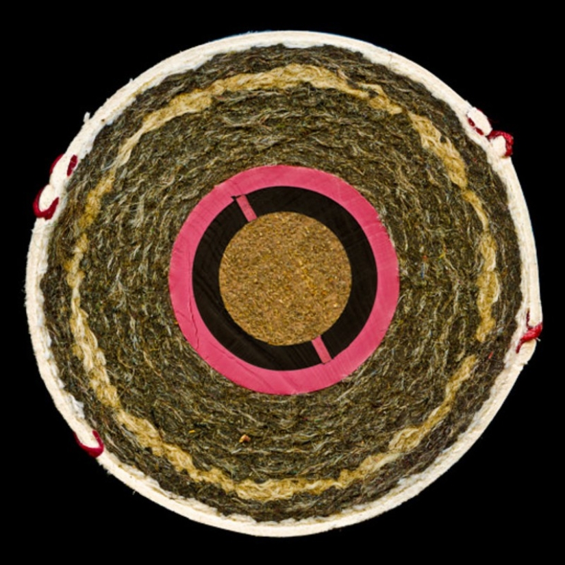 18 cosas cortadas por la mitad