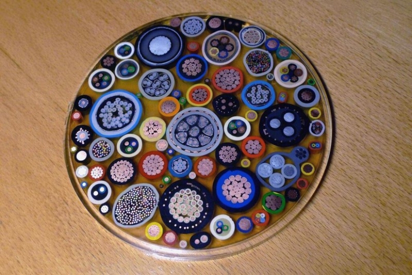 18 cosas cortadas por la mitad