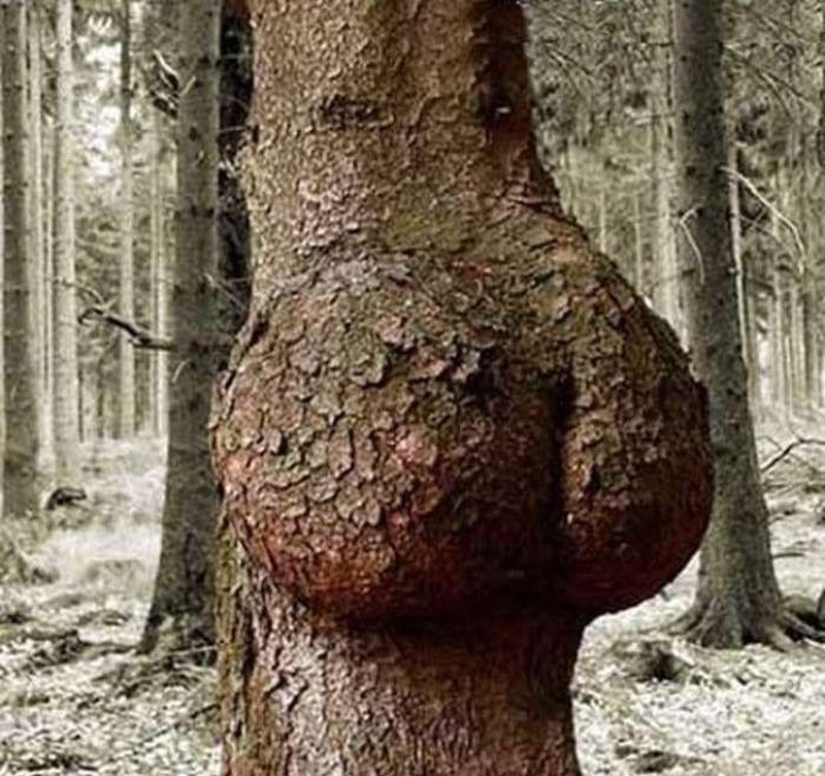 18 de las desviaciones sexuales más extrañas y ridículas