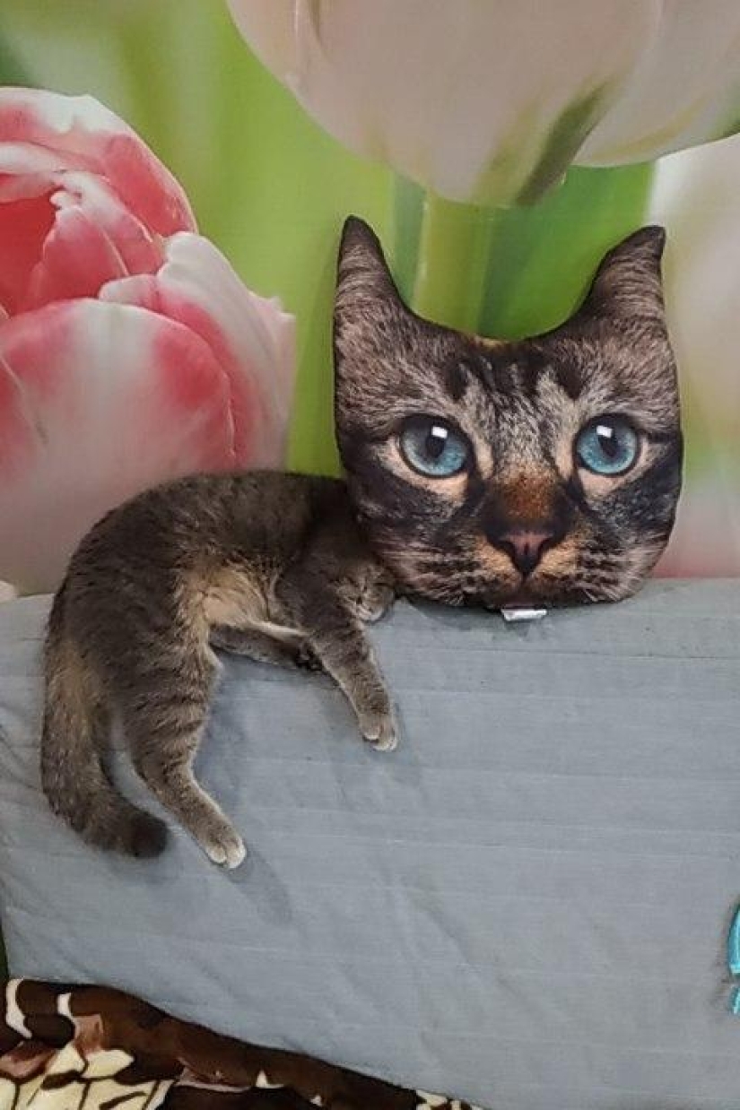 18 divertido coincidencias que están garantizados para levantar el ánimo 18 divertido coincidencias que están garantizados para levantar el ánimo